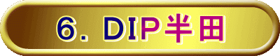 ６．ＤＩＰ半田